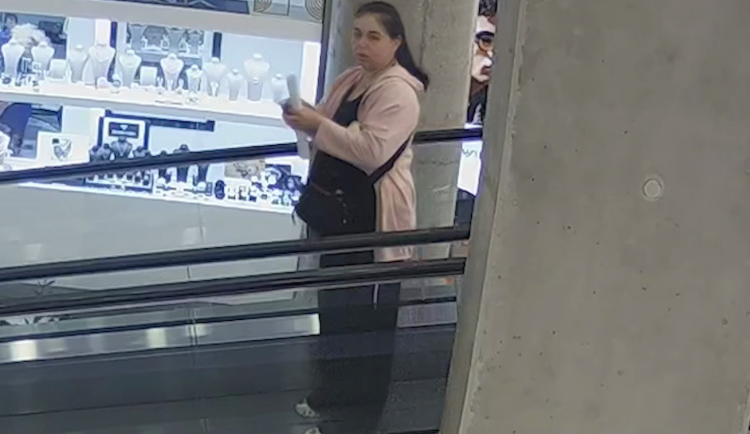 Našla peněženku, ale nevrátila ji. Po nenechavé ženě pátrá policie