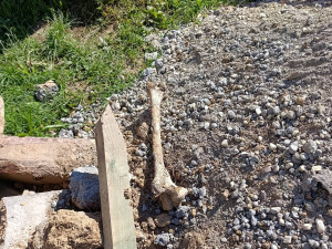 Dělníci při opravách hřbitova na Šumpersku vykopali lidské kosti. Pietu dodržíme, ubezpečuje firma