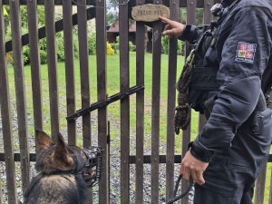 Tříměsíční policejní štěně poprvé v akci. Strážci zákona kontrolovali na Šumpersku chaty a chalupy