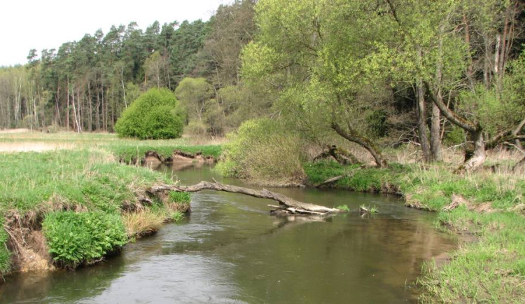 Na Českolipsku byla vyhlášena nová přírodní rezervace Meandry Ploučnice a Svitavky
