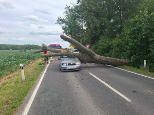 Fabii u Olomouce zvrakoval mohutný strom, řidiče odvezla záchranka