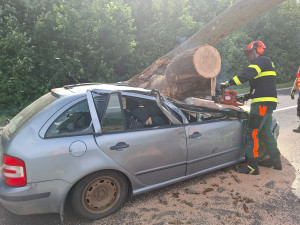 Fabii u Olomouce zvrakoval mohutný strom, řidiče odvezla záchranka