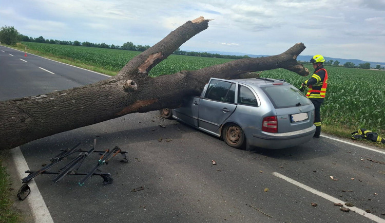 Obrovský kmen spadl na u Olomouce na auto, řidiče vyprostili hasiči