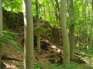 TIP NA VÝLET: Jeskyně Průchodnice u Ludmírova poskytne ochlazení a je opředená řadou legend