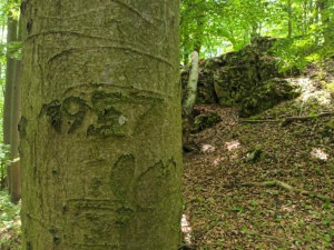 TIP NA VÝLET: Jeskyně Průchodnice u Ludmírova poskytne ochlazení a je opředená řadou legend