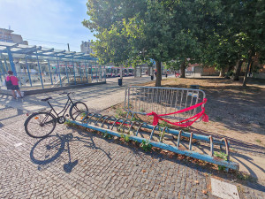 Potkani, odpadky a nepřizpůsobiví. Olomouc trápí neustálé problémy v přednádraží