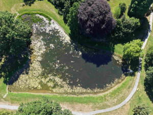 Lodičky a překvapení v Dračí jeskyni. Otevření revitalizovaného parku v Čechách pod Kosířem se blíží