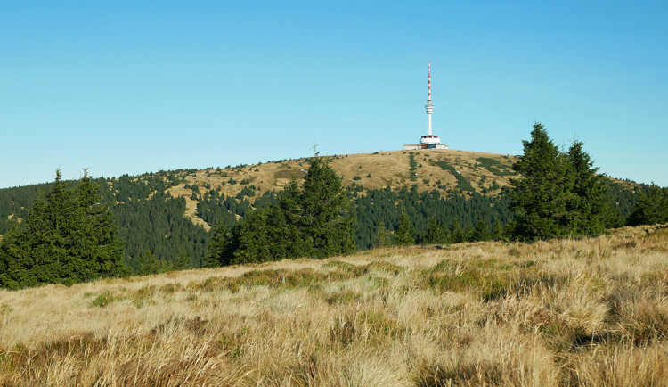 Unikátní oblast pod tlakem? Film přiblíží klíčové téma ochrany horských luk v Jeseníkách
