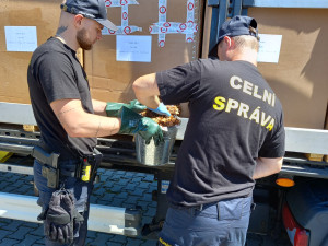 Celníci odhalili u Přerova pašeráka z Polska s 16 tunami tabáku. Daňový únik je 60 milionů