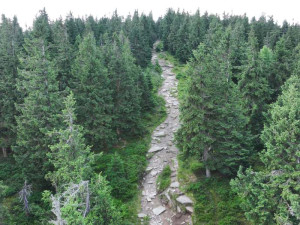 VIDEO: Ochrana hor nebo dálnice pro turisty? Dláždění stezky v Jeseníkách budí vášně