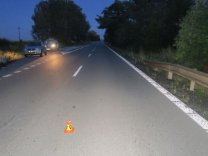 Řidič skočil nad ránem na Prostějovsku do cesty klokan. Havárii bohužel nepřežil