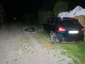 Nabourala auto i plot. Opilá řidička nezvládla jízdu v Zábřehu