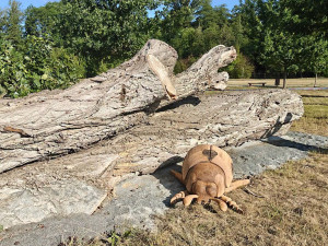 Obří škvor i beruška. Prostějov má nové hmyzí sochy pro podporu přírody ve městě