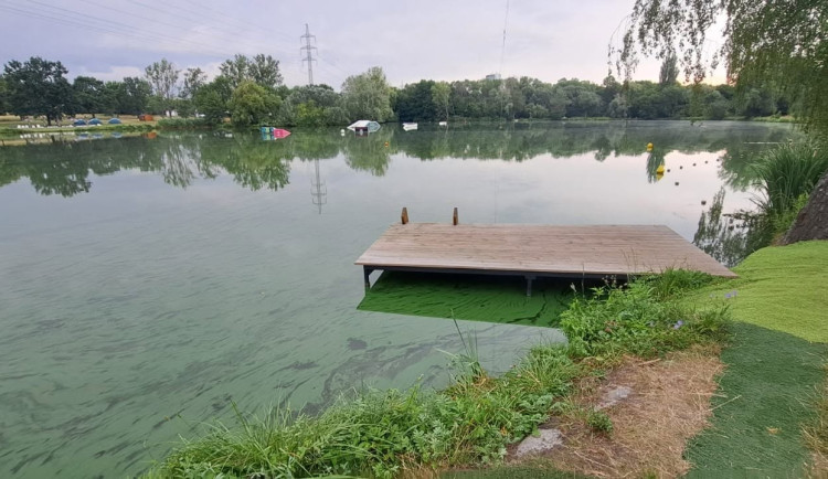 Jsou v rybníce sinice? Lidé to mohou zjistit jednoduše pomocí PET lahve