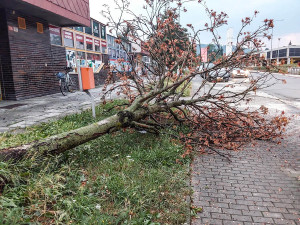 VIDEO: Kroupy i stržená fotovoltaika. Šumpersko zasáhla bouřková smršť