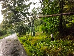 VIDEO: Kroupy i stržená fotovoltaika. Šumpersko zasáhla bouřková smršť