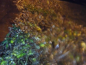 Autor: Martina Vašíčková