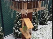 Autor: Lenka Tisoňová