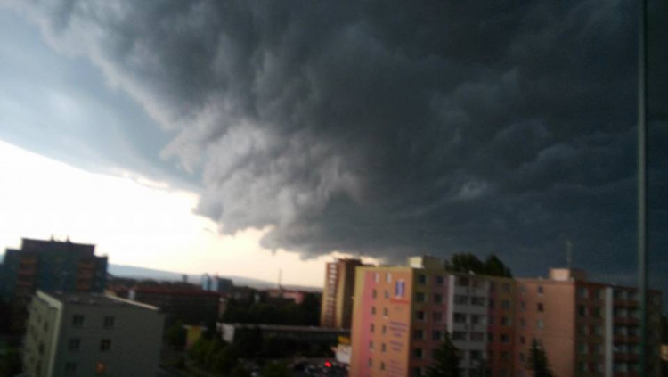 Markéta Zdražilová