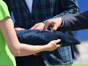 Hroší stavby Morava si v Olomouci postavily hroší sen, teď nabírají zaměstnance