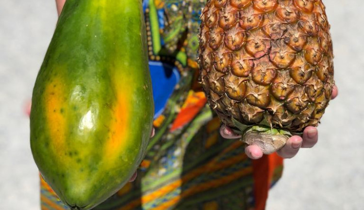 Jackfruit, baby banány nebo drink z cukrové křtiny. Olomoučané v neděli ochutnávali Afriku