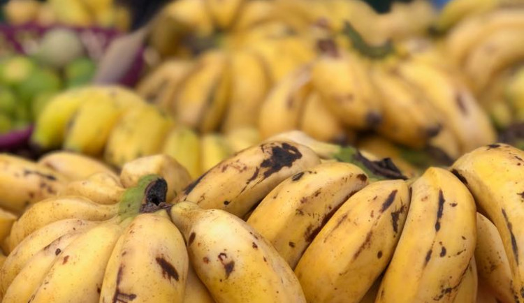 Jackfruit, baby banány nebo drink z cukrové křtiny. Olomoučané v neděli ochutnávali Afriku