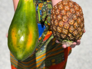 Jackfruit, baby banány nebo drink z cukrové křtiny. Olomoučané v neděli ochutnávali Afriku