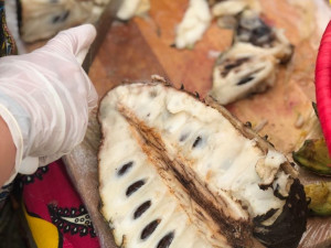 Jackfruit, baby banány nebo drink z cukrové křtiny. Olomoučané v neděli ochutnávali Afriku