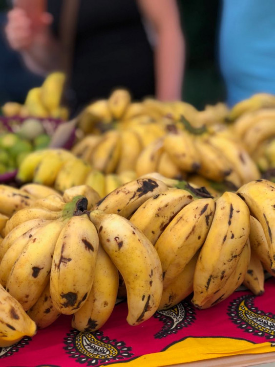 Jackfruit, baby banány nebo drink z cukrové křtiny. Olomoučané v neděli ochutnávali Afriku