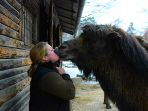 Den s ošetřovatelem: Zoo má dvě tváře. Zvířata se chovají jinak, když i my jdeme domů