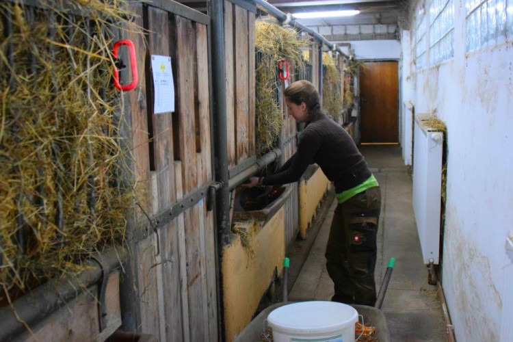 Den s ošetřovatelem: Zoo má dvě tváře. Zvířata se chovají jinak, když i my jdeme domů