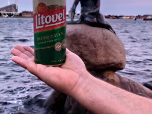 Letní soutěž o plecháček. Hlasujte!