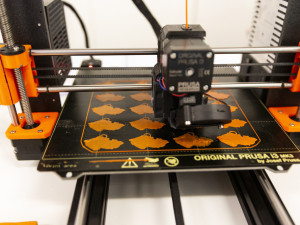 I v letošním ročníku Noci vědců byla jedním z center prezentací a pokusů Přírodovědecká fakulta Univerzity Palackého či popularizační muzeum vědy Pevnost poznání 