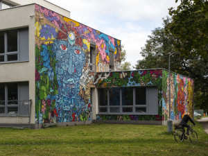 Street Art: Velkoplošné malby ozvláštnily fasády v centru Olomouce i v areálu vysokoškolských kolejí
