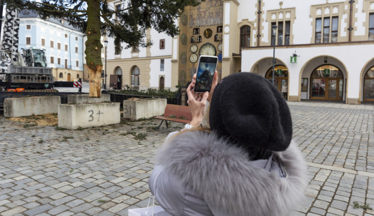 Zase za rok. Vánoční strom už v centru Olomouce nestojí, kmen zpracují řezbáři