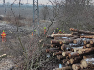 FOTOGALERIE: Srážka dvou nákladních vlaků v Prosenicích
