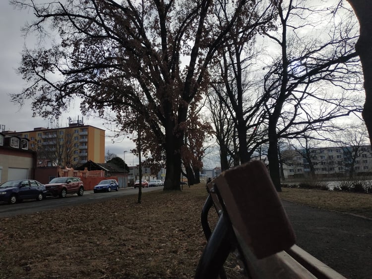 Stoletá dubová alej u rybníka v Drozdovicích