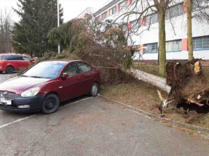 Silný vítr zaměstnal hasiče