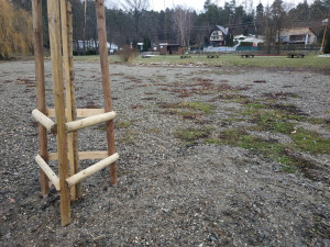 FOTOGALERIE: Nové vrby na Plumlovské přehradě