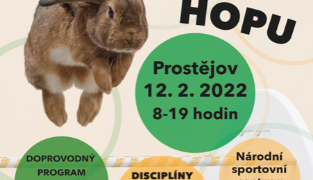 FOTOGALERIE: Dráha, parkur, skok vysoký a skok daleký. To je králičí hop