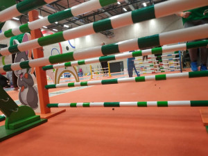 FOTOGALERIE: Dráha, parkur, skok vysoký a skok daleký. To je králičí hop