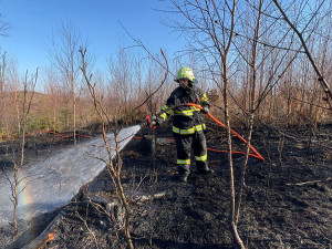 FOTOGALERIE: Lesní požár u Jívové