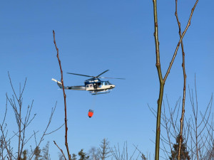 FOTOGALERIE: Lesní požár u Jívové