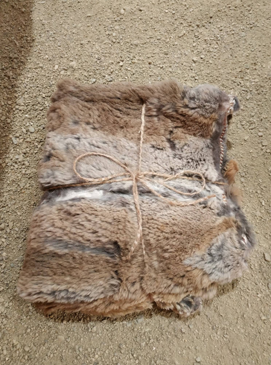 FOTOGALERIE: Starší doba železná v srdci Hané