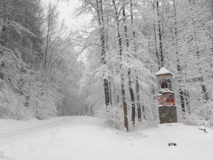 FOTOGALERIE: Aprílové sněžení na severu Olomouckého kraje