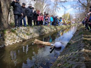 FOTOGALERIE: Zapálená Smrtka skončila v potoce