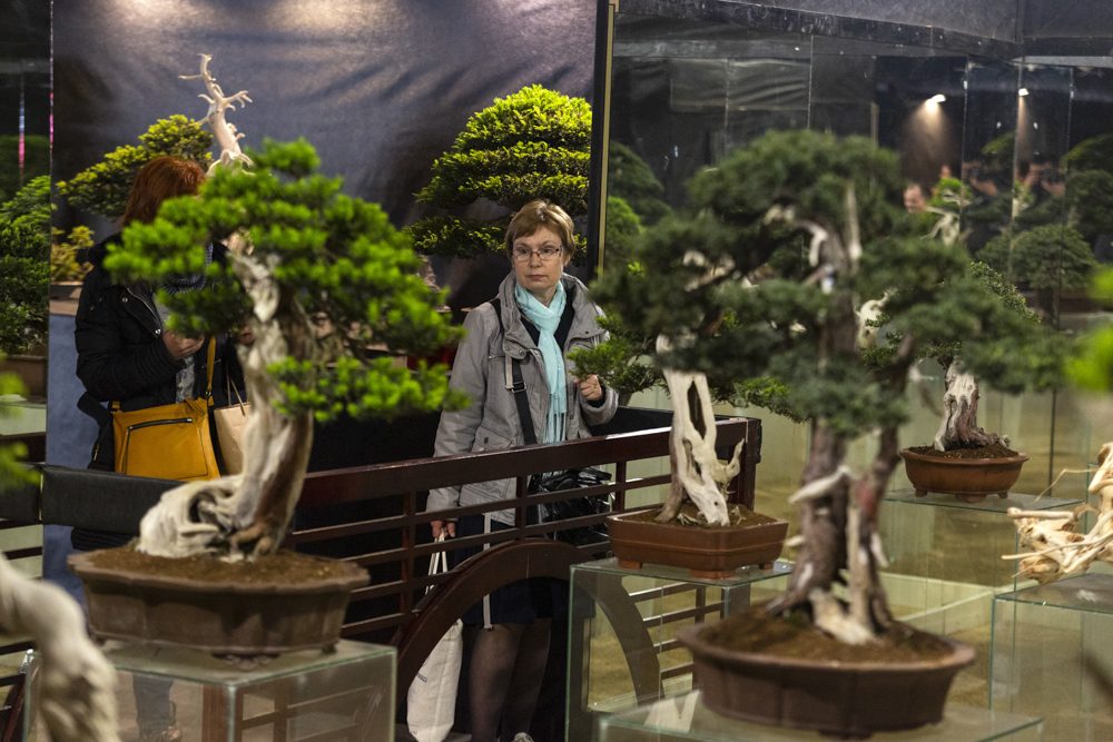 Výstaviště Flora po dvou letech ožilo jarní výstavou