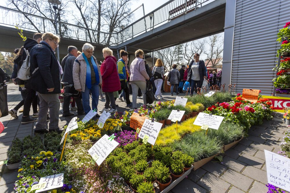 Výstaviště Flora po dvou letech ožilo jarní výstavou