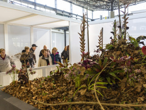 Výstaviště Flora po dvou letech ožilo jarní výstavou