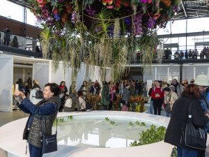 Výstaviště Flora po dvou letech ožilo jarní výstavou